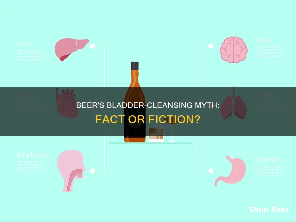 does beer clean your bladder