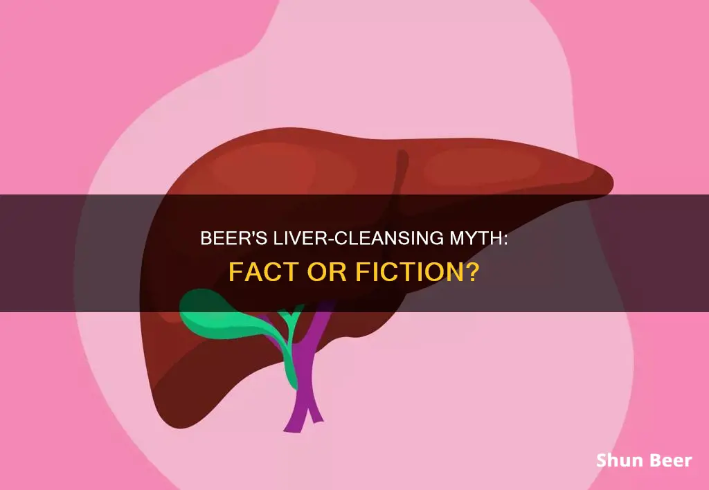 does beer clean your liver