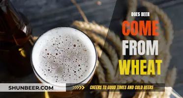 Wheat and Beer: What's the Connection?