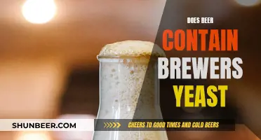 Uncovering the Yeast in Beer: A Brewing Mystery