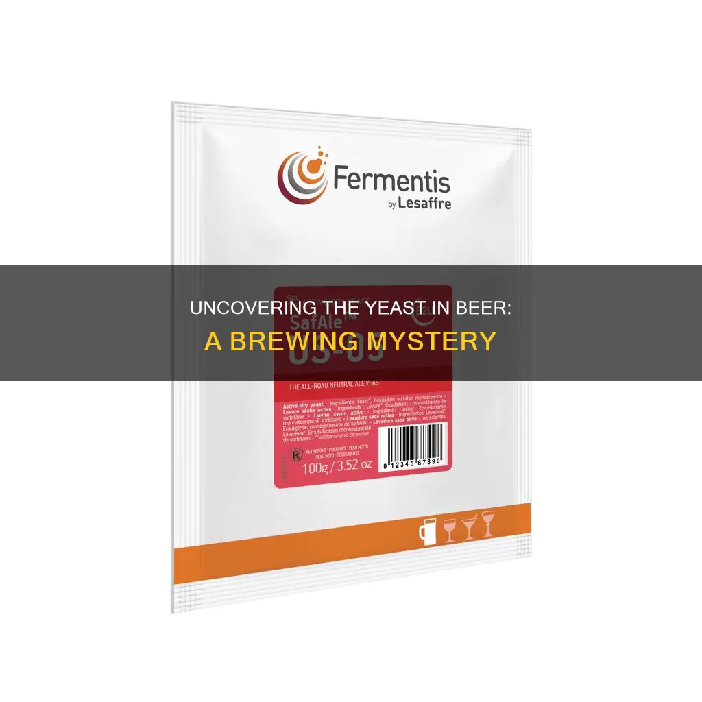 does beer contain brewers yeast