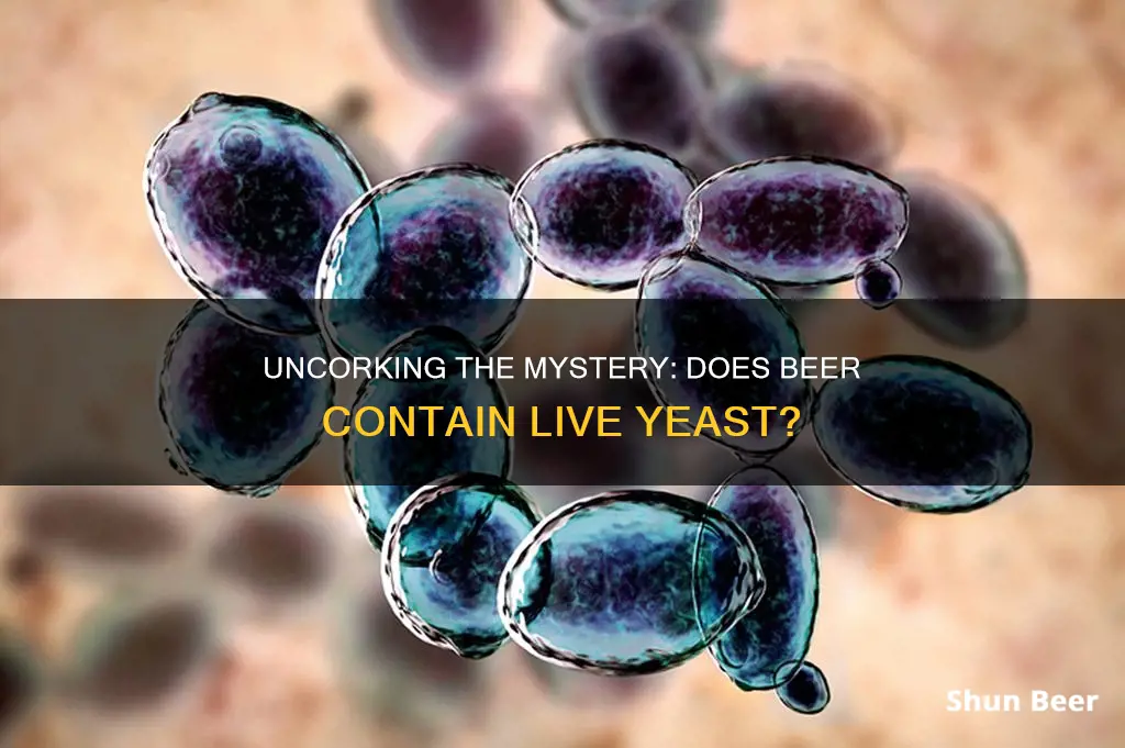 does beer contain live yeast