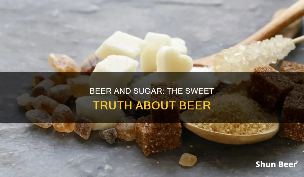 does beer contain refined sugar