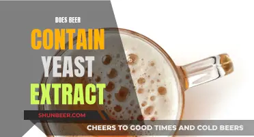 Uncovering the Yeast Mystery: Beer's Fermenting Secret