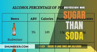 Beer vs Soda: Which Has More Sugar?