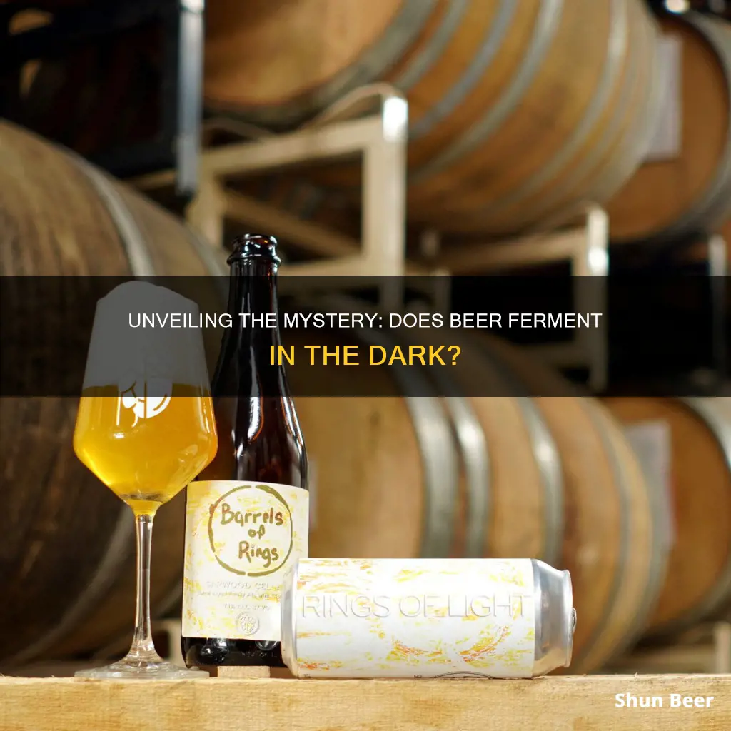 does beer have to ferment in the dark