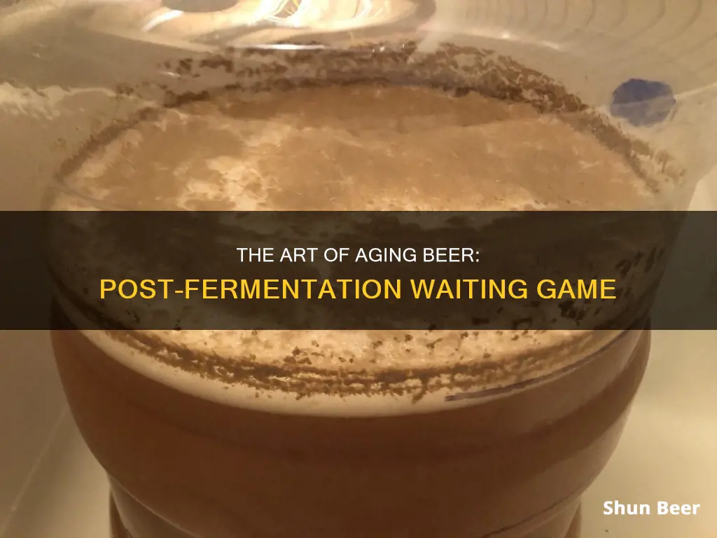 does beer need to sit after fermentation