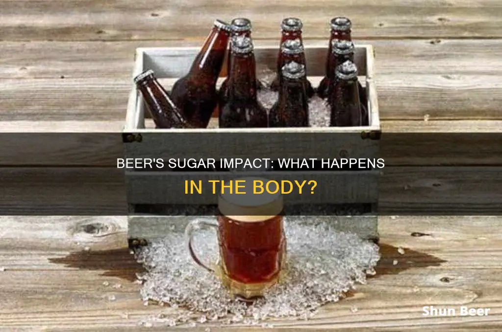 does beer turn to sugar in the body