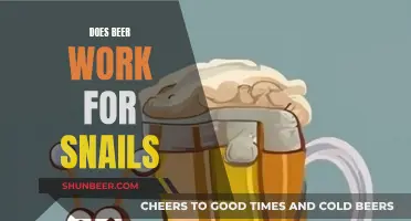 Snail Solution: Beer Trap's Effectiveness and Efficiency