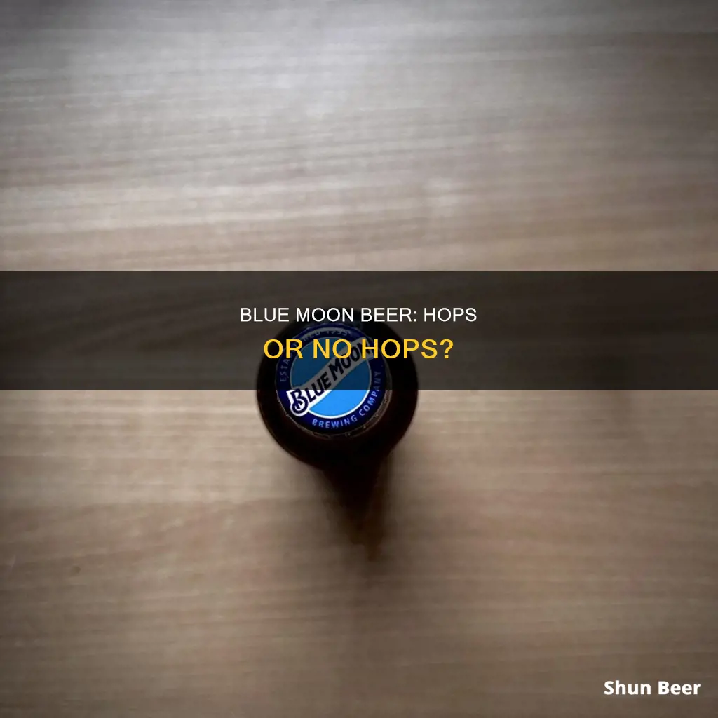 does blue moon beer contain hops