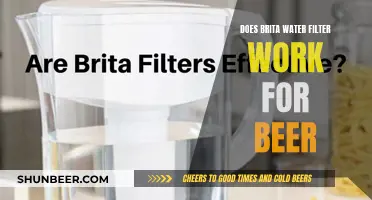 Brita Water Filter: The Ultimate Beer Upgrade?