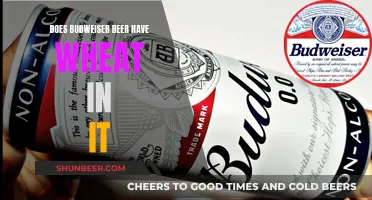 Budweiser Beer: Wheat-Free or Not?