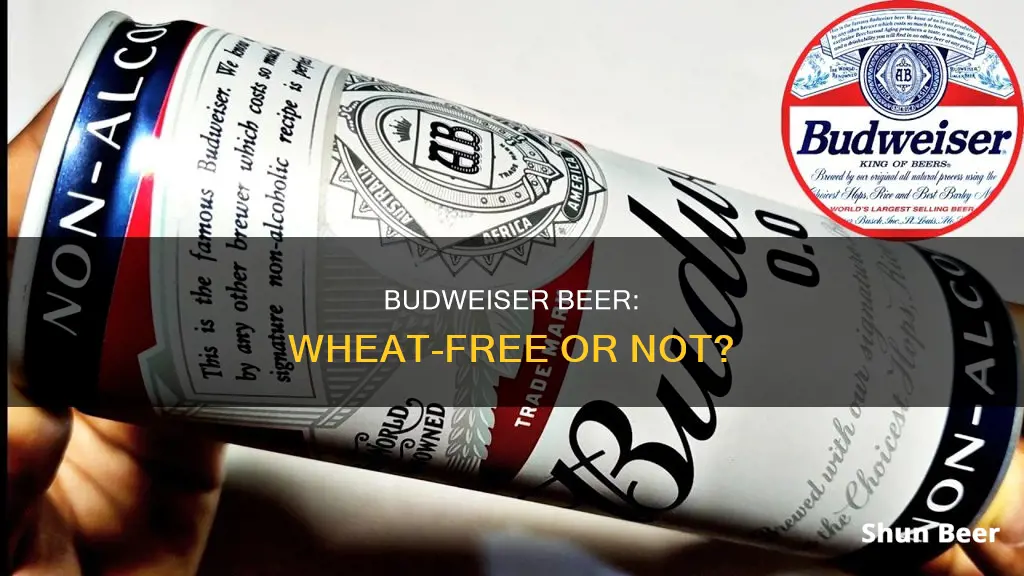 does budweiser beer have wheat in it