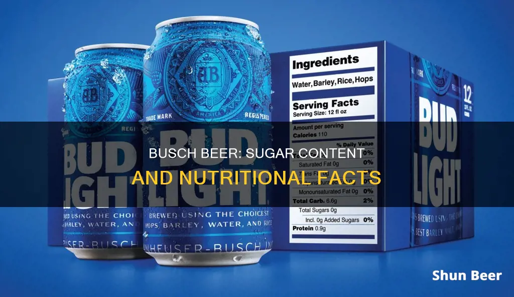 does busch beer have sugar in it