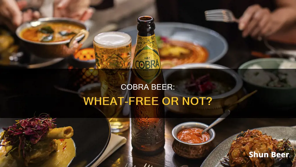 does cobra beer contain wheat