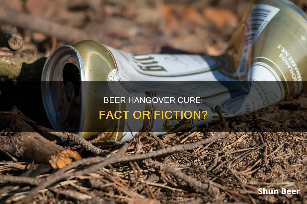 does drinking a beer help a hangover