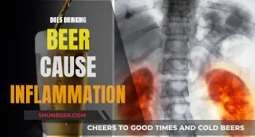 Beer and Inflammation: Is There a Link?