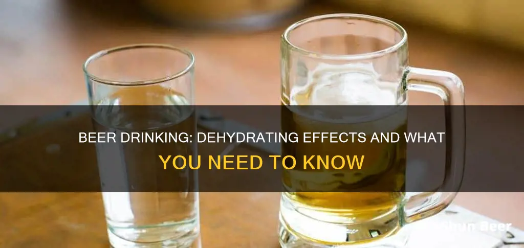 does drinking beer dehydrate you