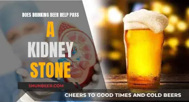 Beer: A Friend or Foe for Passing Kidney Stones?