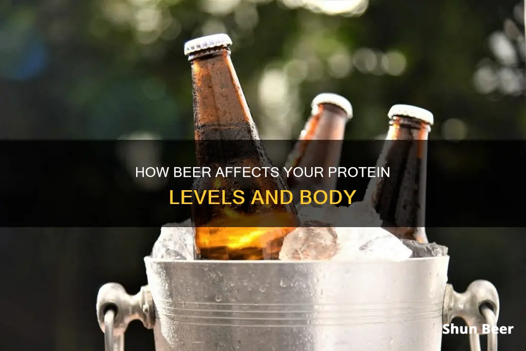 does drinking beer raise your protein levels