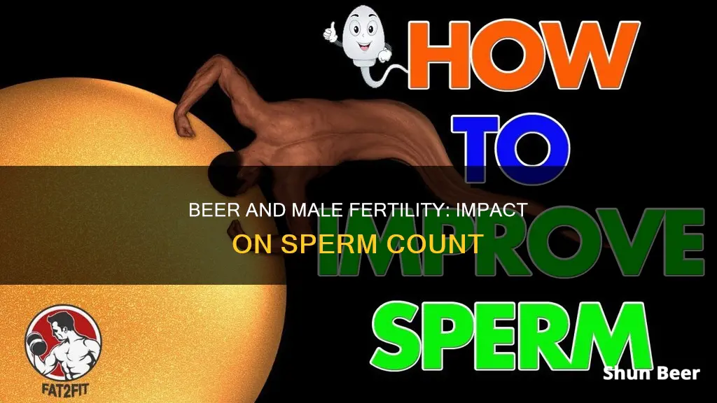 does drinking beer reduce sperm count