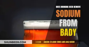 Beer and Sodium: The Truth About Alcohol and Salt