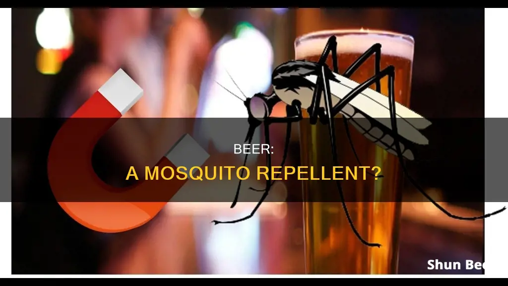 does drinking beer repel mosquitoes