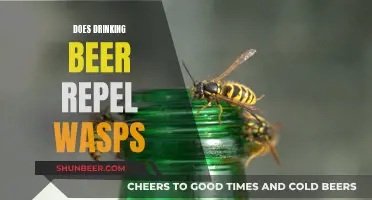 Beer and Bugs: A Buzzing Repellent Theory