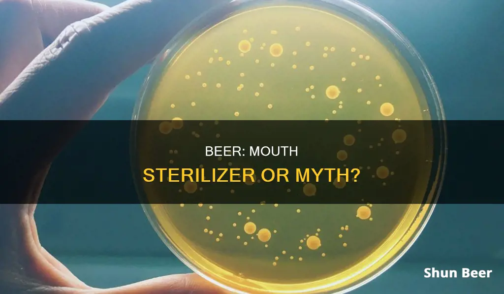 does drinking beer sterilize your mouth