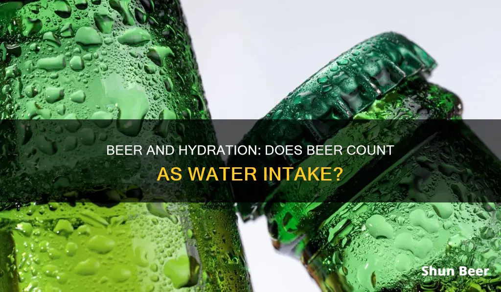 does drinking beer still count as water intake