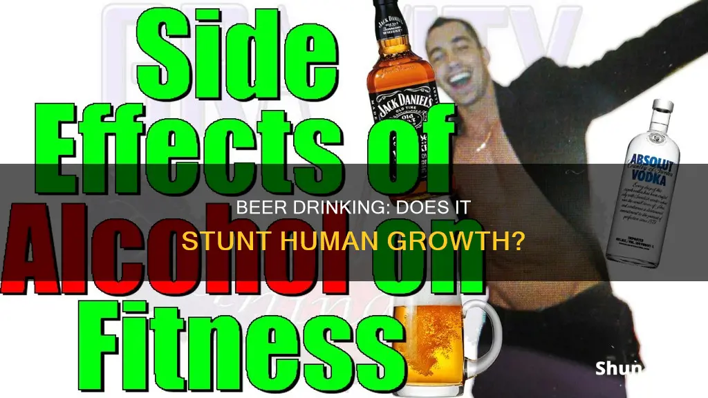 does drinking beer stunt your growth