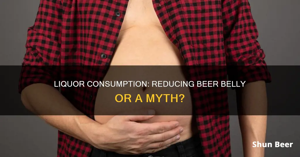 does drinking liquor stop beer belly