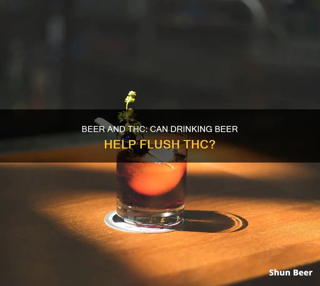 does drinking lots of beer flush thc