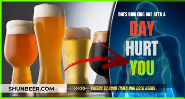 Beer and Health: One Beer a Day, Any Harm?