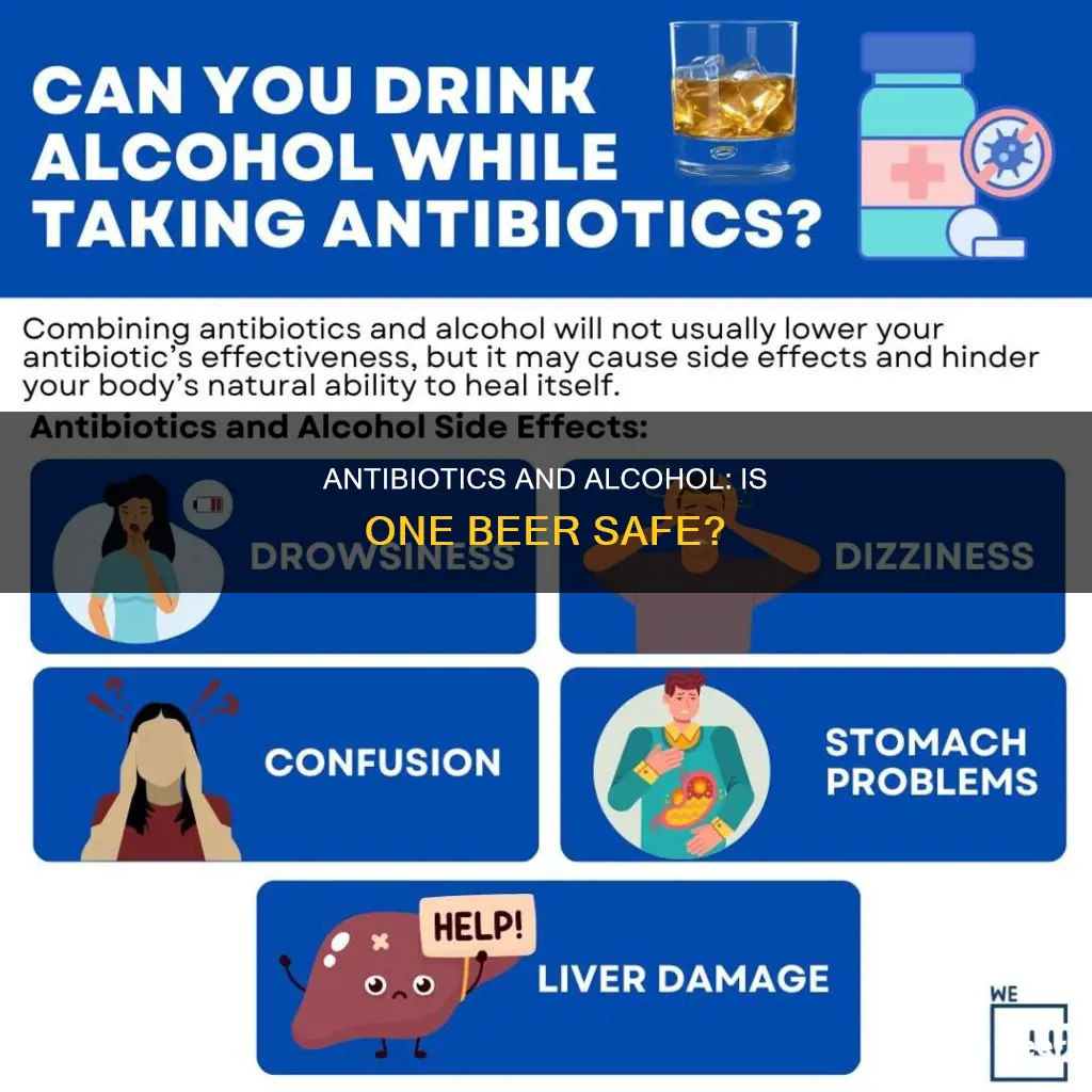 does drinking one beer affect antibiotics