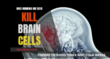 Beer and Brain Cells: Fact or Fiction?