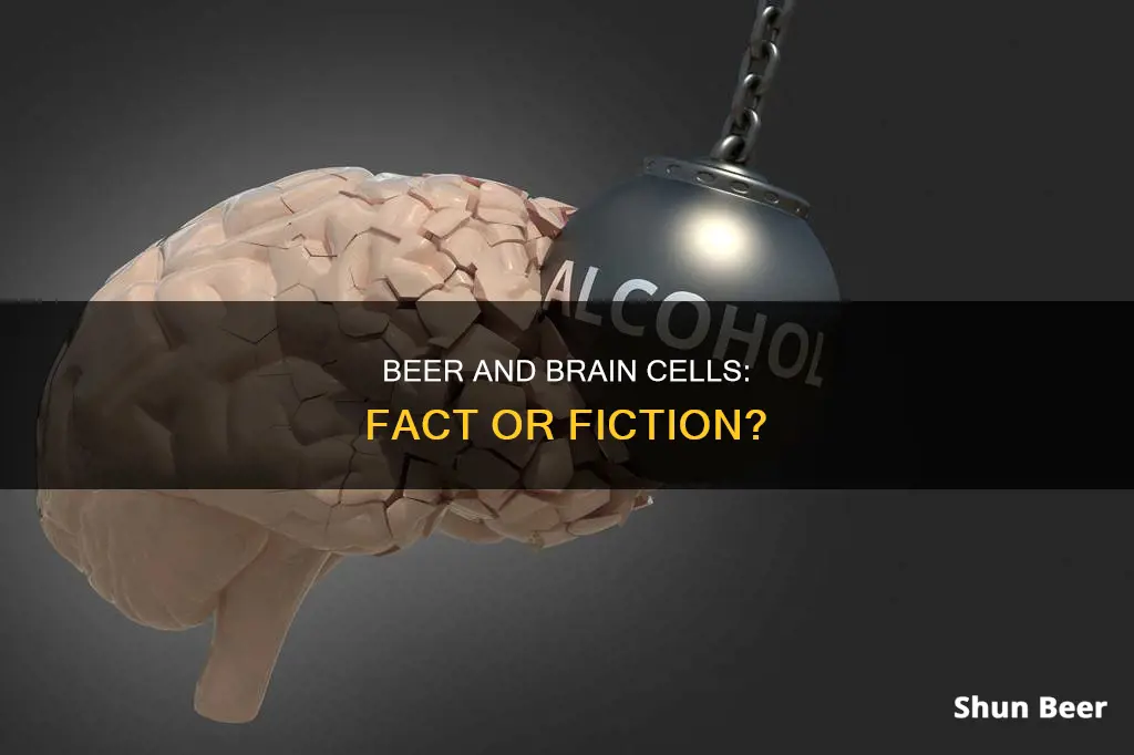 does drinking one beer kill brain cells