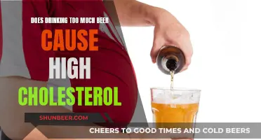 Beer and Cholesterol: Is Your Drinking Habit Healthy?