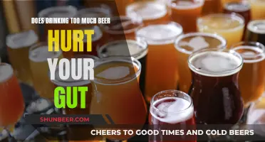 Beer and Your Gut: The Surprising Truth