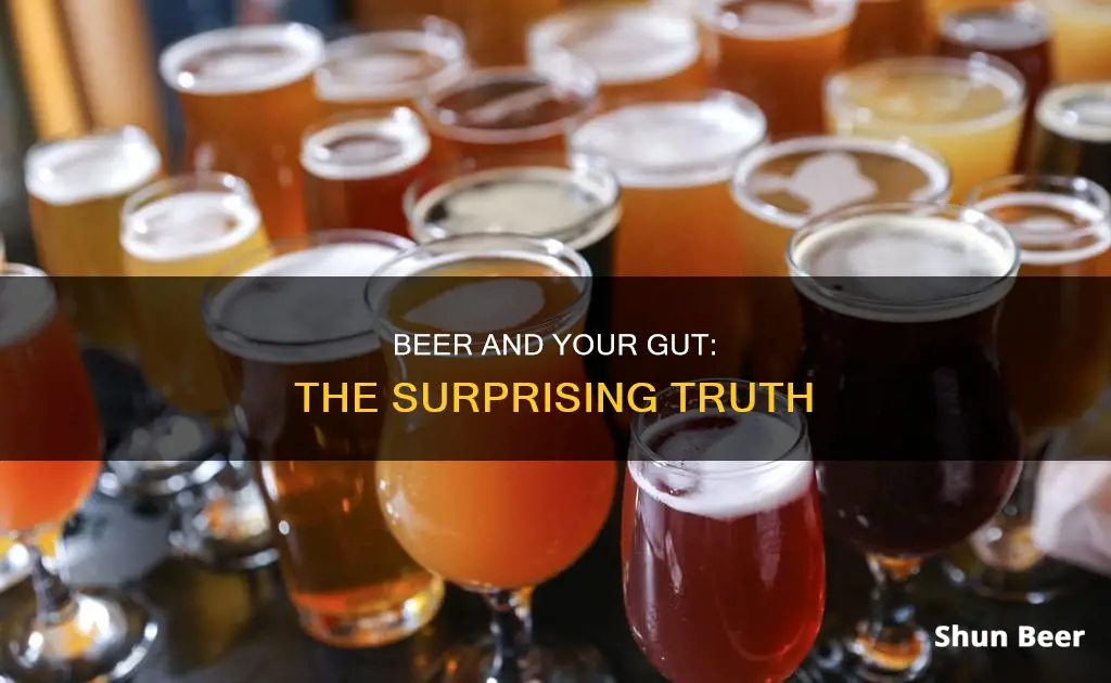 does drinking too much beer hurt your gut