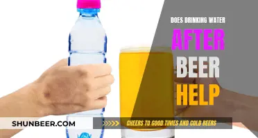 Stay Hydrated: Water After Beer for Health