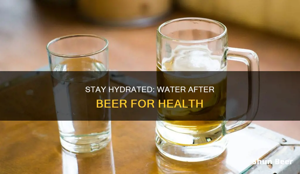 does drinking water after beer help