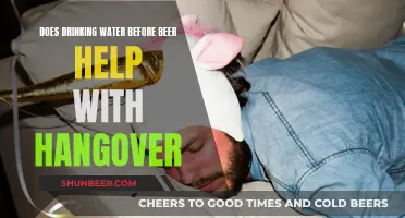 Preventing Hangovers: Water Before Beer, Does It Work?