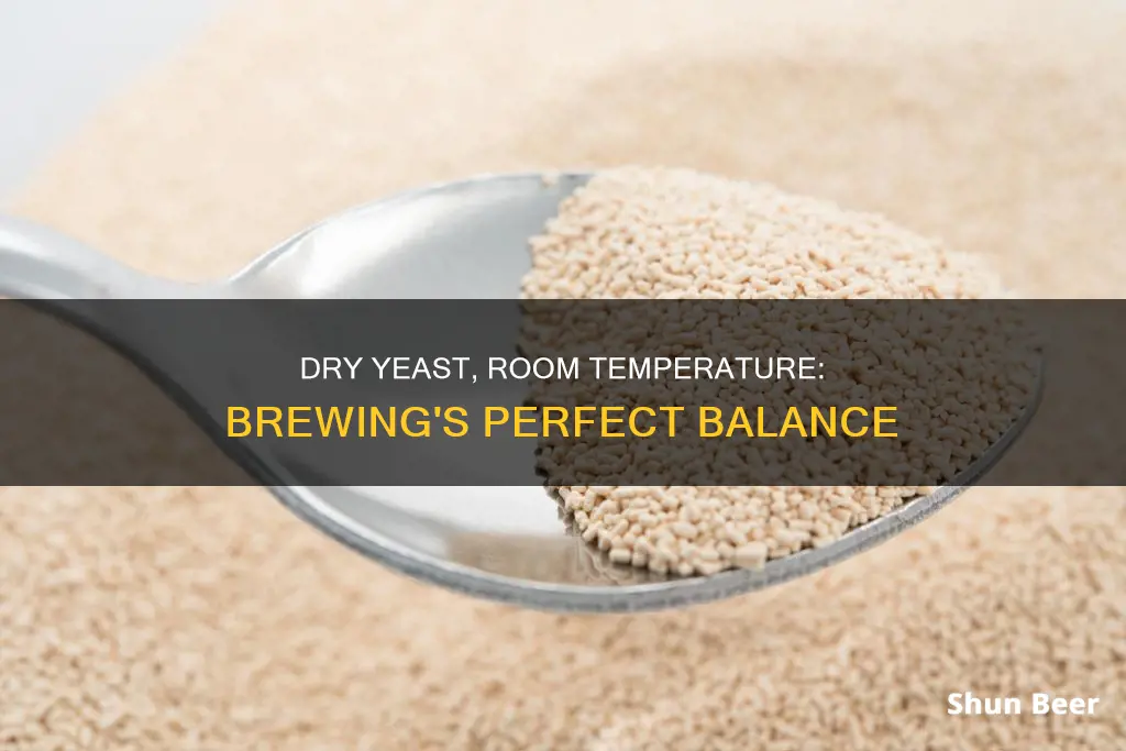 does dry beer yeast need room tempo