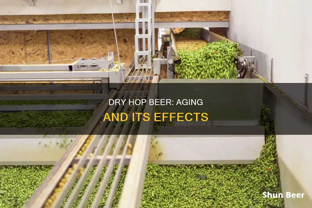 does dry hop beer age