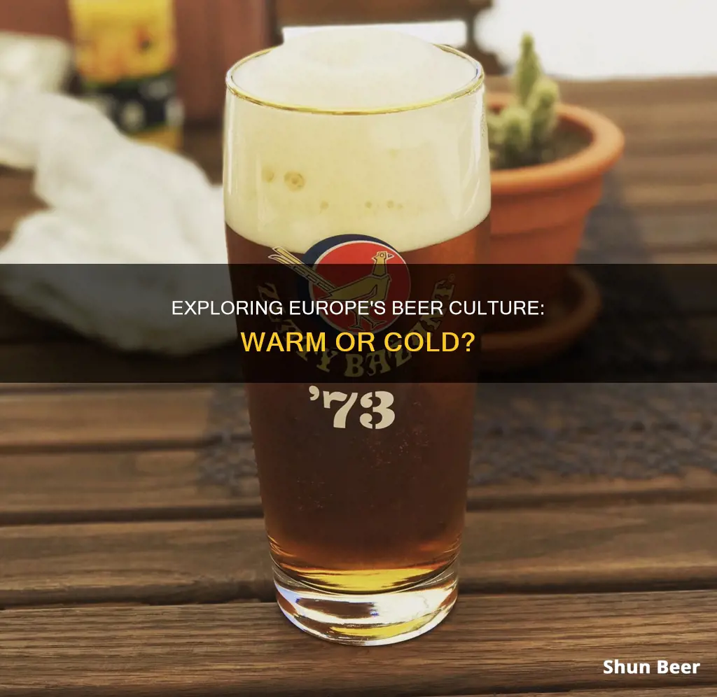 does europe drink warm beer