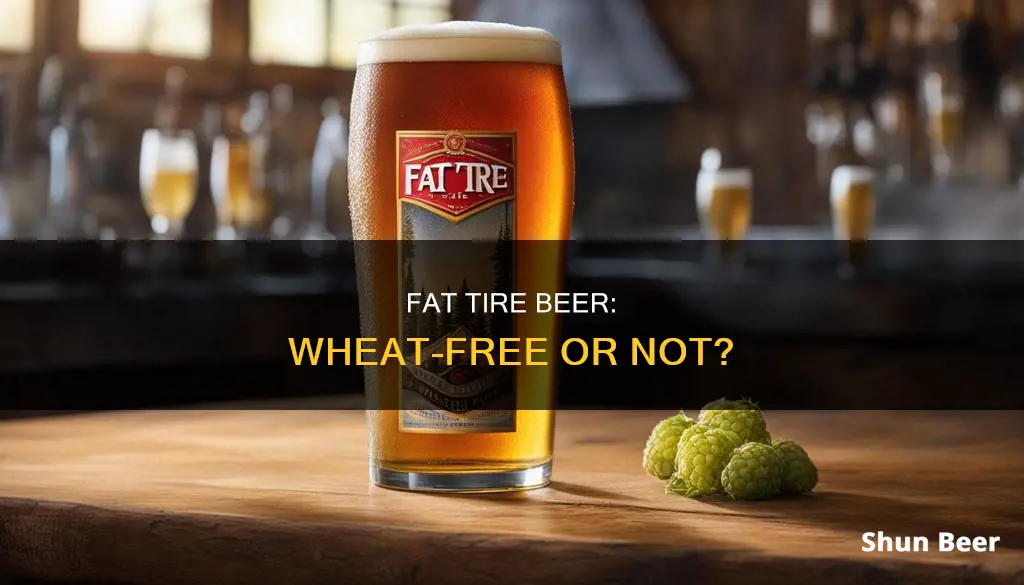 does fat tire beer contain wheat