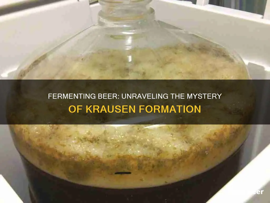 does fermenting beer always produce krausen