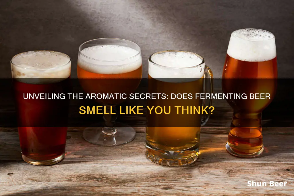 does fermenting beer smell