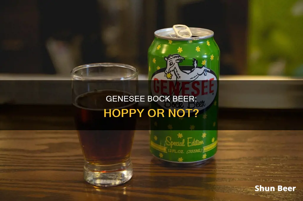 does genesee bock beer have hops in it